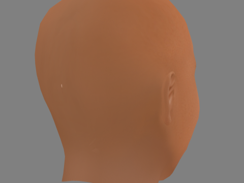 Michael Dorn Head - Low poly head for game Model 3D