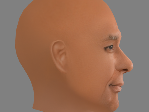 Michael Dorn Head - Low poly head for game Model 3D