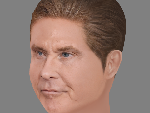 David Hasselhoff Head - Low poly head for game 3D Model