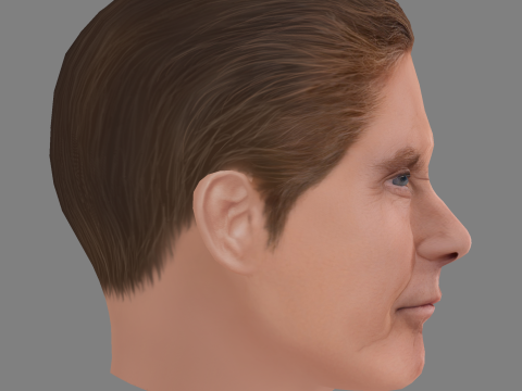David Hasselhoff Head - Low poly head for game 3D Model