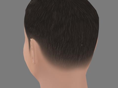 David Walliams Head - Low poly head for game 3D Model