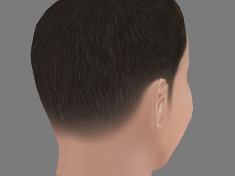 David Walliams Head - Low poly head for game 3D Model