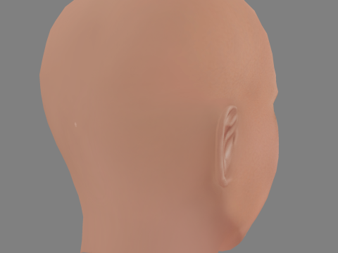 Howie Mandel Head - Low poly head for game Modelo 3D