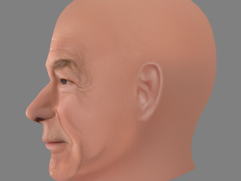 Patrick Stewart Head - Low poly head for game Modelo 3D