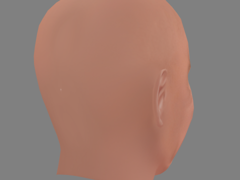 Patrick Stewart Head - Low poly head for game Modelo 3D