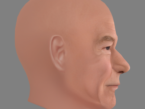 Patrick Stewart Head - Low poly head for game Modelo 3D