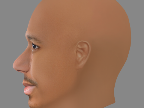 Nick Cannon Head - Low poly head for game Modèle 3D