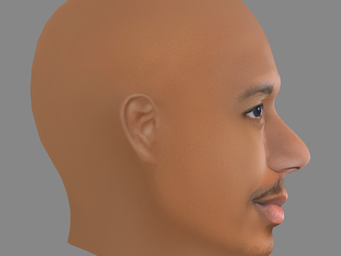 Nick Cannon Head - Low poly head for game Modèle 3D