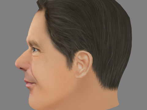 Dennis Quaid Head - Low poly head for game 3D Модель