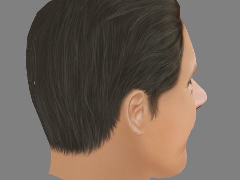 Dennis Quaid Head - Low poly head for game 3D Модель