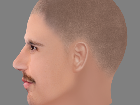 Hugo Diego Garcia Head - Low poly head for game 3D Modell