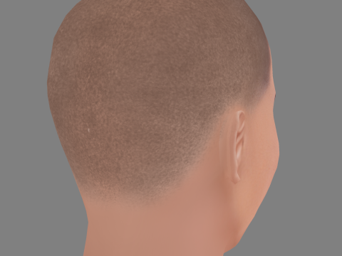 Hugo Diego Garcia Head - Low poly head for game 3D Modell