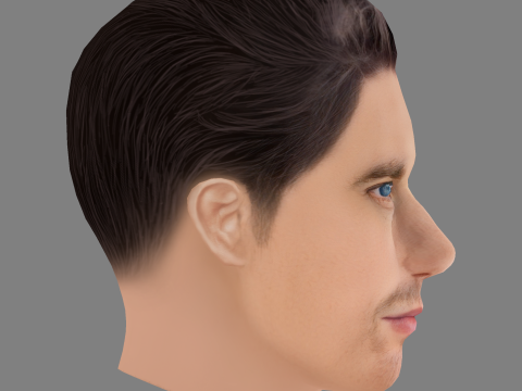 Matthew Luret Head - Low poly head for game Modello 3D
