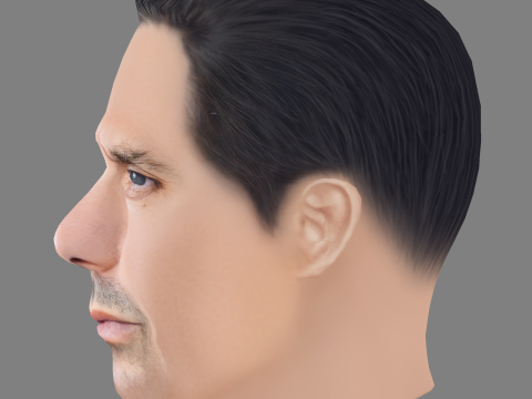Olivier Raynal Head - Low poly head for game 3D Model