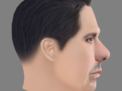 Olivier Raynal Head - Low poly head for game 3D Model
