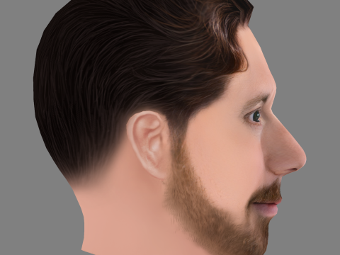 Tom Morton Head - Low poly head for game 3D Модель