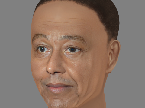 Giancarlo Esposito Head - Low poly head for game 3Dモデル