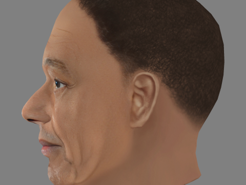 Giancarlo Esposito Head - Low poly head for game 3Dモデル