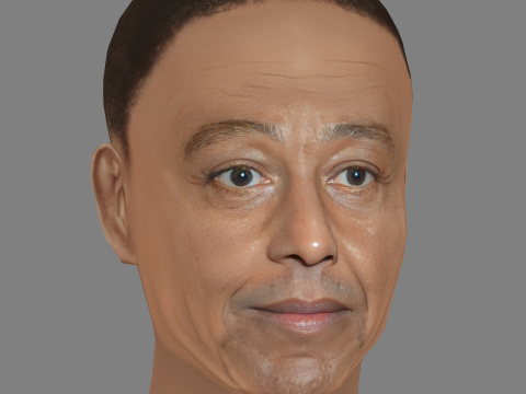 Giancarlo Esposito Head - Low poly head for game 3Dモデル