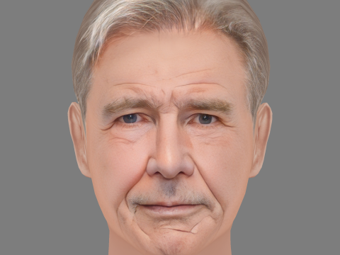 Harrison Fords Head - Low poly head for game 3D Model