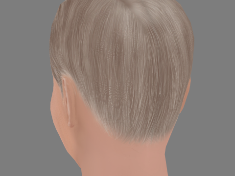 Harrison Fords Head - Low poly head for game 3D Модель