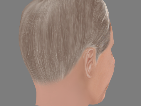Harrison Fords Head - Low poly head for game 3D Модель