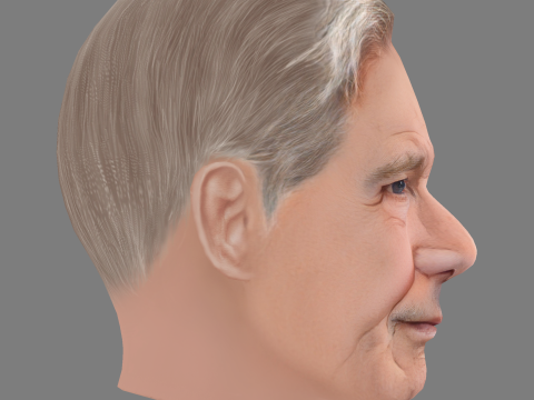 Harrison Fords Head - Low poly head for game 3D Модель