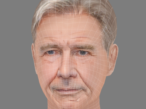 Harrison Fords Head - Low poly head for game 3D Модель