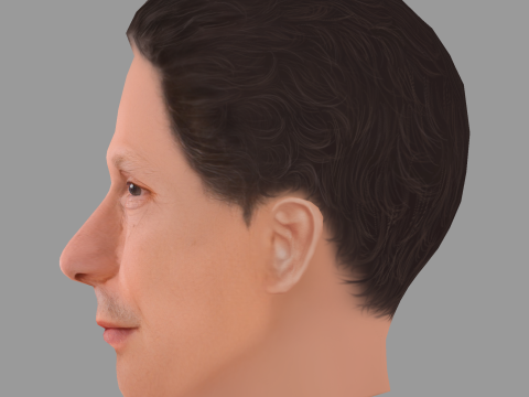 Tim Blake Nelson Head - Low poly head for game 3D 模型