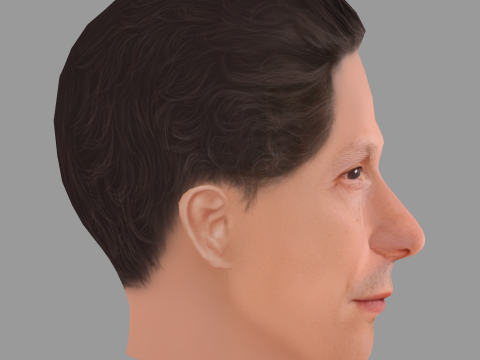 Tim Blake Nelson Head - Low poly head for game 3D 模型