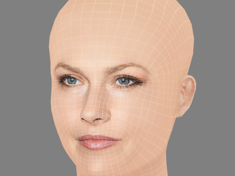 Ali Larter Head - No Hair - Low poly head for game 3D 模型