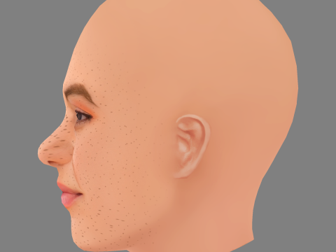 Alia Shawkat Head - No Hair - Low poly head for game Modelo 3D
