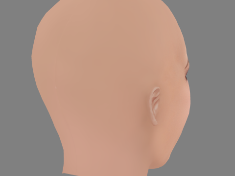 Alicia Silverstone Head - No Hair - Low poly head for game Modelo 3D
