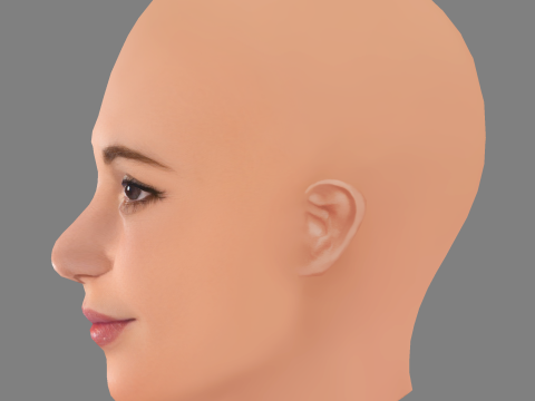 Alicia Vikander Head - No Hair - Low poly head for game 3D Model