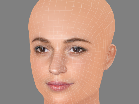 Alicia Vikander Head - No Hair - Low poly head for game 3D Model