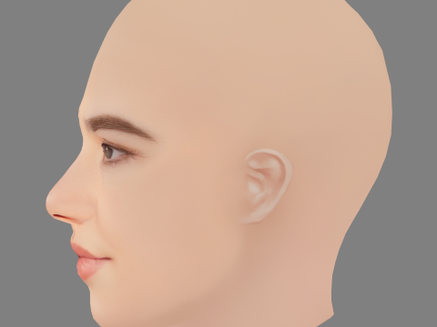 Alisha Newton Head - No Hair - Low poly head for game 3D Model