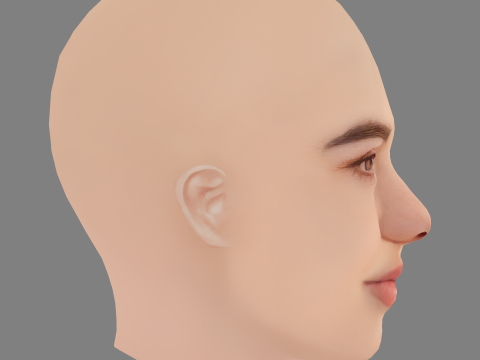 Alisha Newton Head - No Hair - Low poly head for game 3D Model