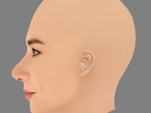 Allison Scagliotti Head - No Hair - Low poly head for game 3D Model