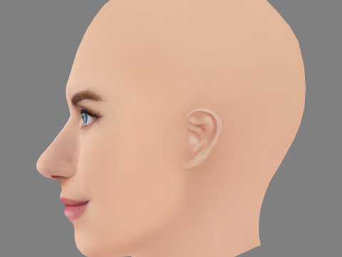 Allison Williams Head - No Hair - Low poly head for game 3D-Modell
