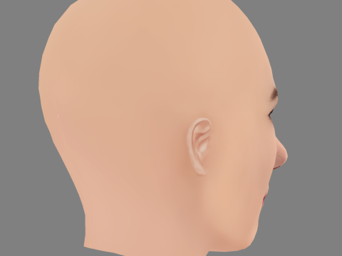 Allison Williams Head - No Hair - Low poly head for game 3D-Modell