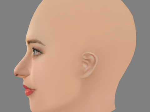 Amber Heard Head - No Hair - Low poly head for game 3D 모델