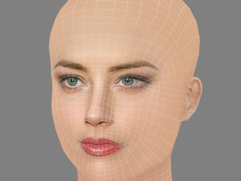Amber Heard Head - No Hair - Low poly head for game 3D 모델