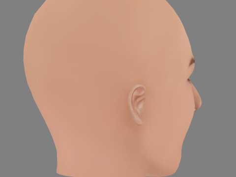 Anna Kendrick Head - No Hair - Low poly head for game 3D Model