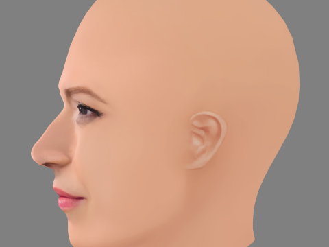 Beth Riesgraf Head - No Hair - Low poly head for game Modèle 3D