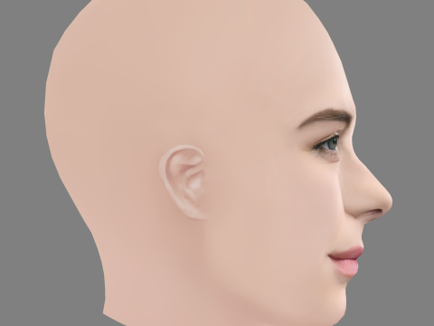 Betty Gilpin Head - No Hair - Low poly head for game Model 3D