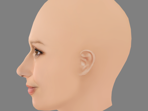 Bridget Moynahan Head - No Hair - Low poly head for game Modello 3D
