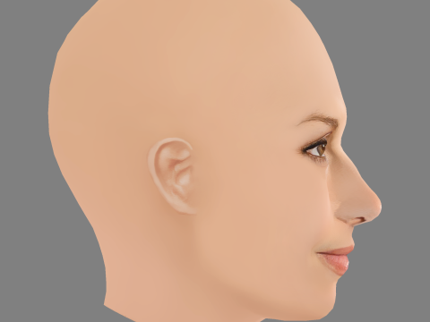 Bridget Moynahan Head - No Hair - Low poly head for game Modello 3D