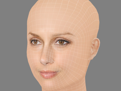 Bridget Moynahan Head - No Hair - Low poly head for game Modello 3D