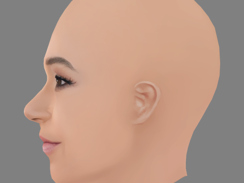 Britt Baron Head - No Hair - Low poly head for game Model 3D