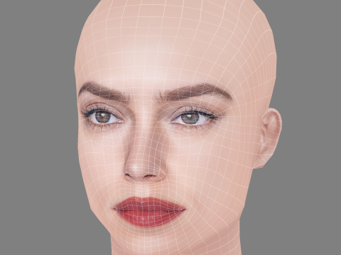 Daisy Ridley Head - No Hair - Low poly head for game Modèle 3D